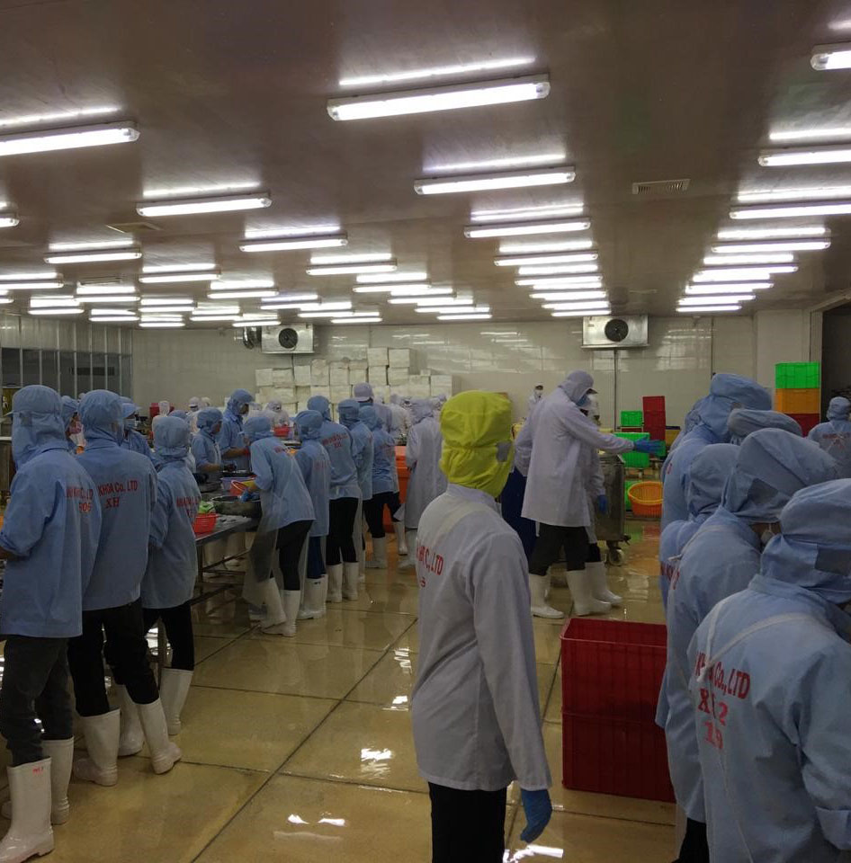 Seafood processing at Anh Khoa Seafoods