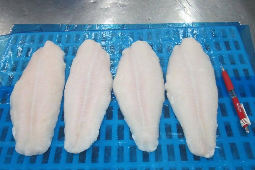 pangasius fillets, well-trimmed