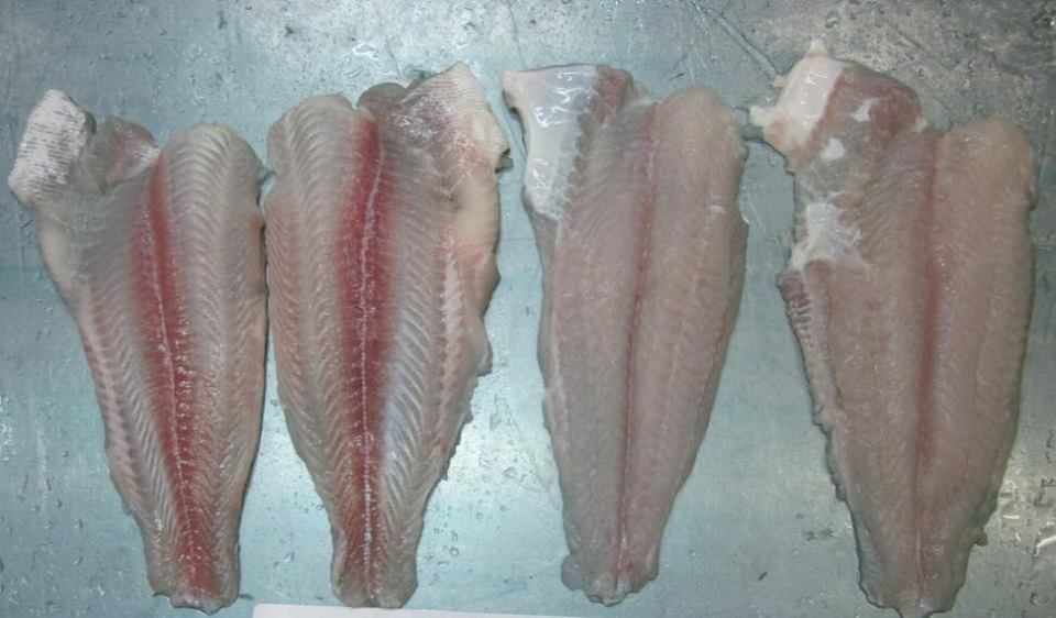 pangasius fillets, semi-trimmed